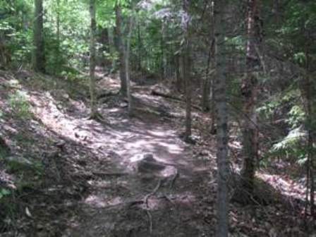 Mount Olga trail